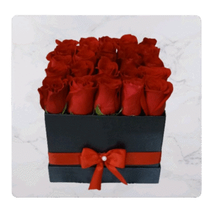 Topiario plano rosas rojas x25