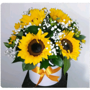 Caja redonda con girasoles, imperico verde y gipso