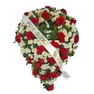 Lagrima de Rosas Rojas, Pompón Blanco y Follaje Aster